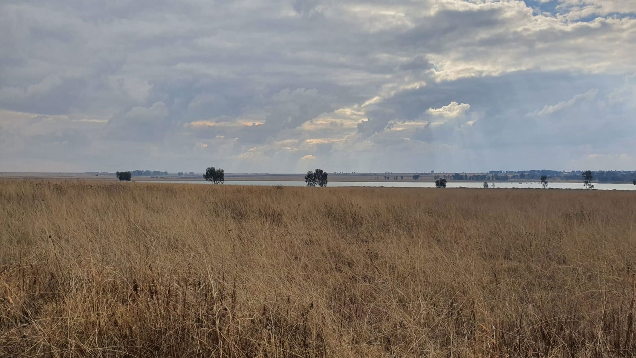 Farm vacant land for sale in Vaal Dam, Gauteng - 1VT1738985