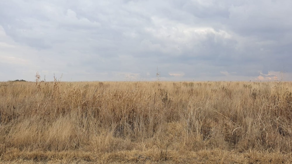 Farm vacant land for sale in Vaal Dam, Gauteng - 1VT1738985