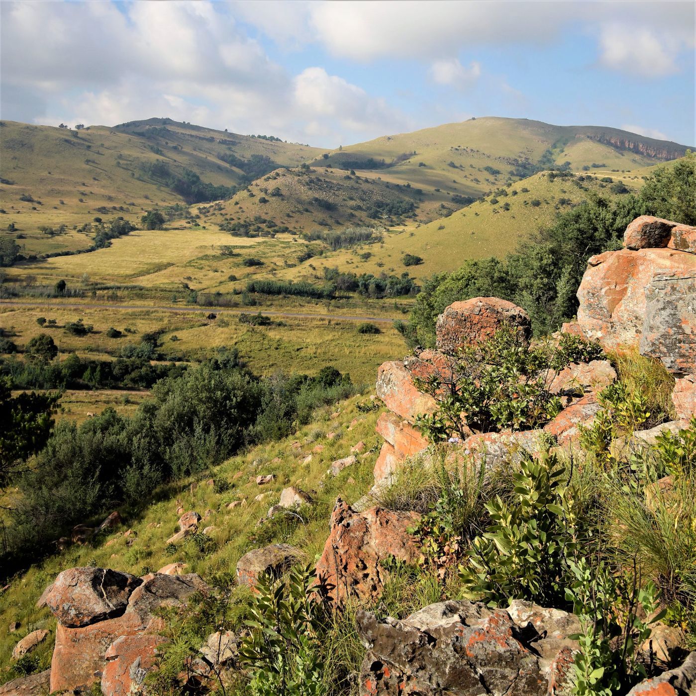 Commercial business for sale in Lydenburg Rural (Mashishing Rural) - 1LY1711679
