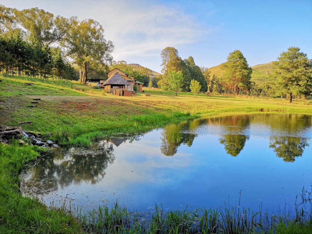 Commercial business for sale in Lydenburg Rural (Mashishing Rural) - 1LY1711679 Commercial business for sale in Lydenburg Rural (Mashishing Rural) - 1LY1711679