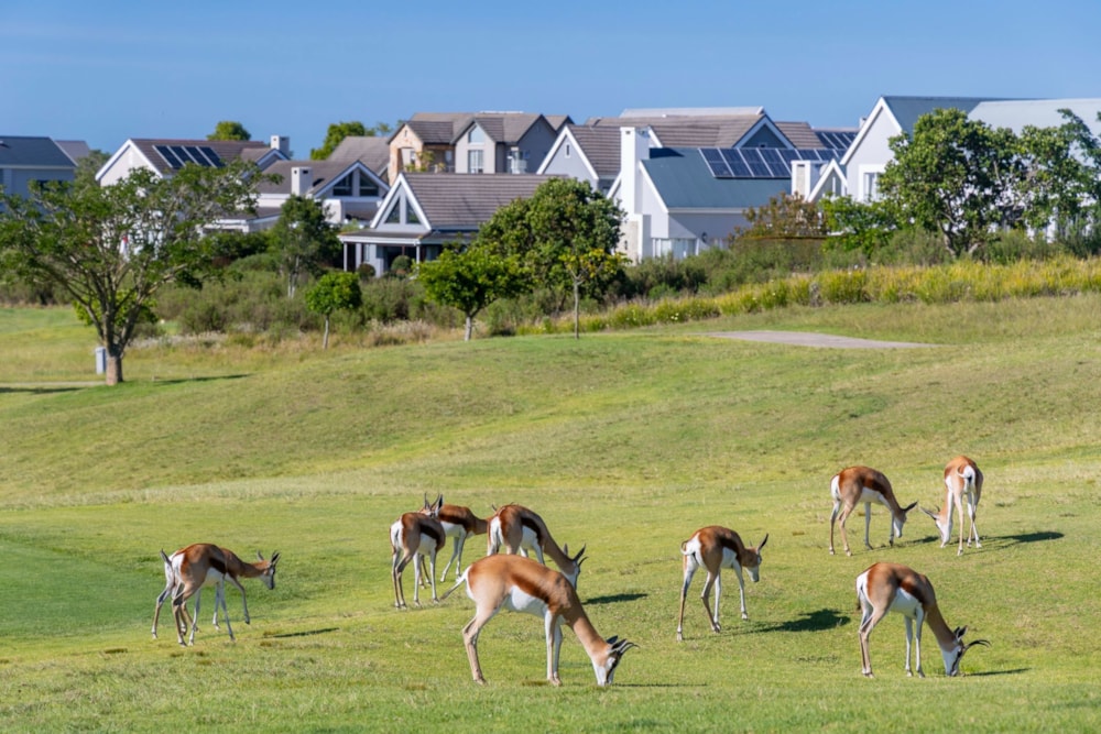 Residential vacant land sold in Kingswood Golf Estate - GEO1737660