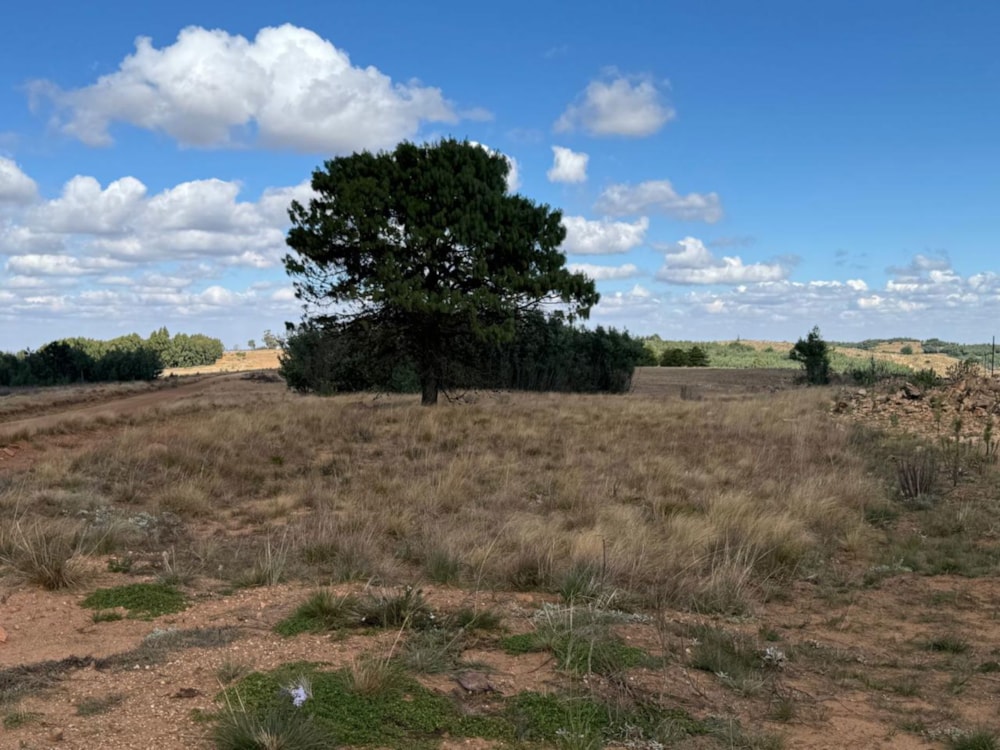Farm vacant land for sale in Belfast Rural - 1DS1736633 Farm vacant land for sale in Belfast Rural - 1DS1736633