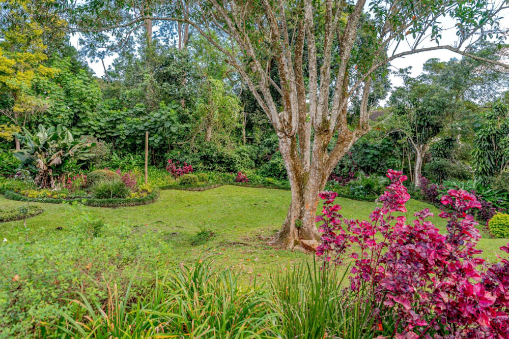 Townhouse for sale in Kloof - 1KF1738910 Townhouse for sale in Kloof - 1KF1738910