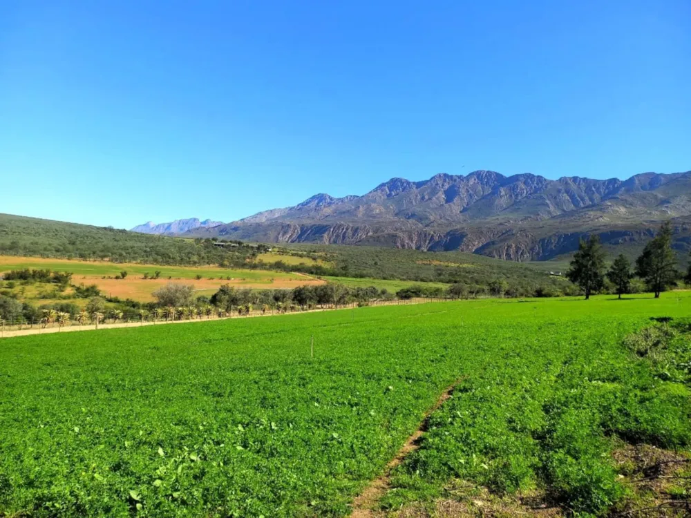 Lifestyle property for sale in Oudtshoorn Rural - 1OU1737834