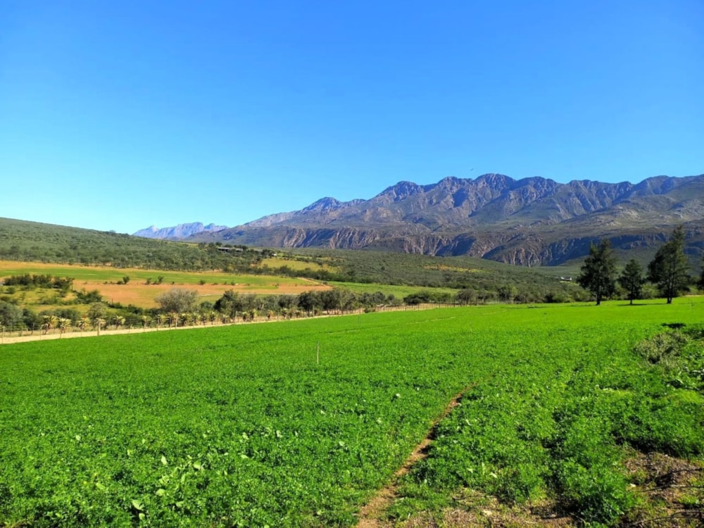 Lifestyle property for sale in Oudtshoorn Rural - 1OU1737834 Lifestyle property for sale in Oudtshoorn Rural - 1OU1737834