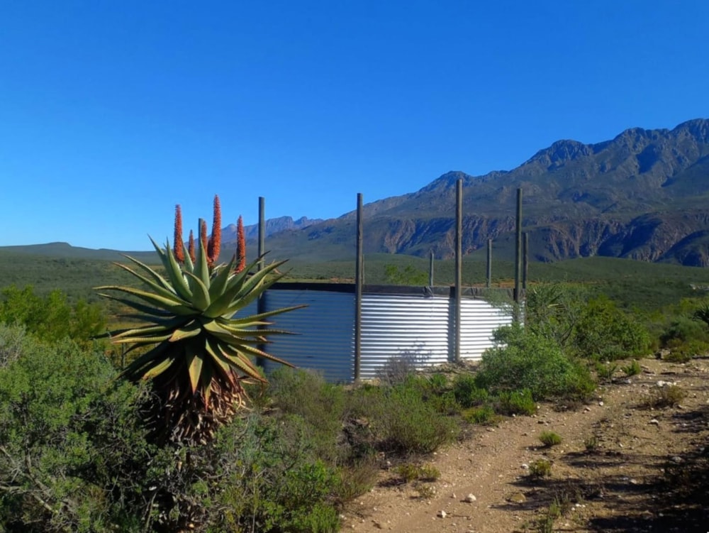 Lifestyle property for sale in Oudtshoorn Rural - 1OU1737834 Lifestyle property for sale in Oudtshoorn Rural - 1OU1737834