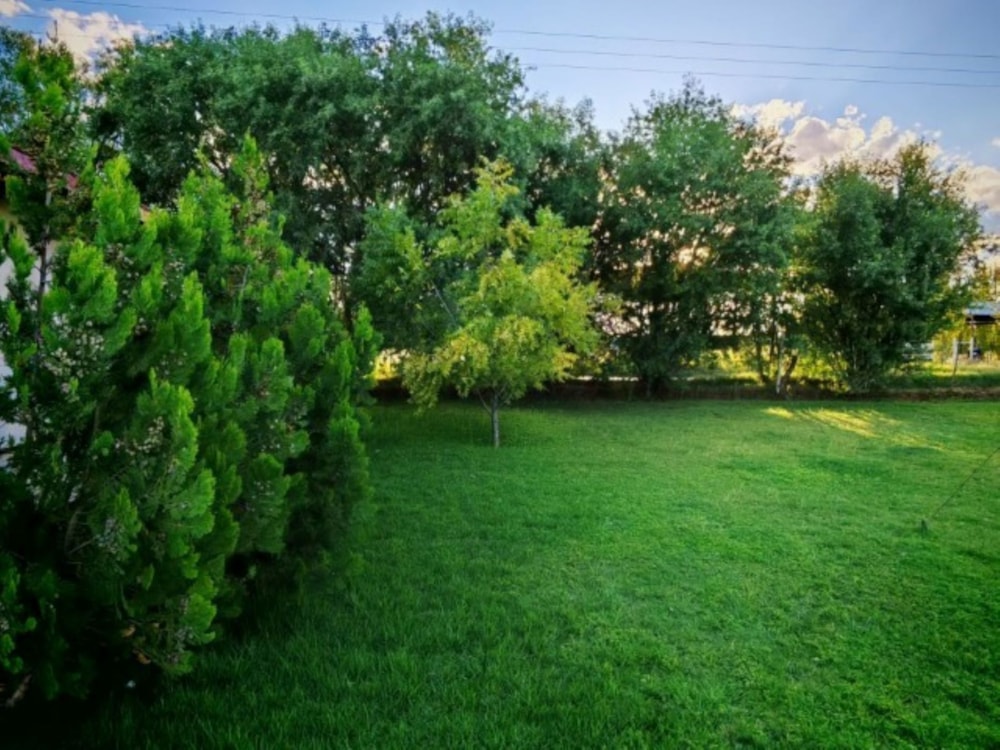 House let in Douglas Rural - 1KJ1738105
