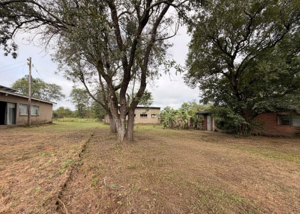 Smallholding for sale in Tzaneen, Limpopo Province - 1TA1738506