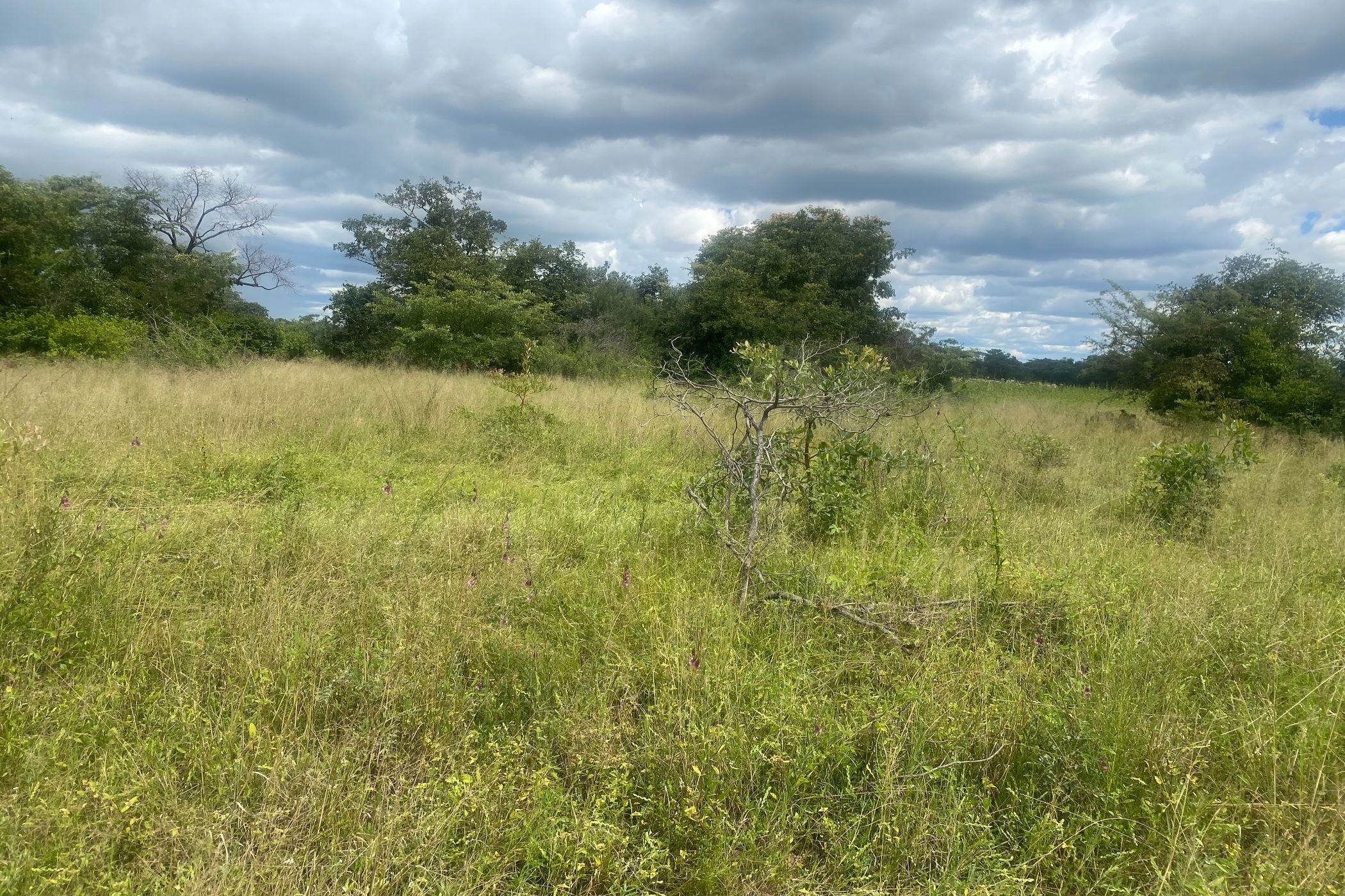 Residential vacant land for sale in Norton, Zimbabwe - 3ZB1738778
