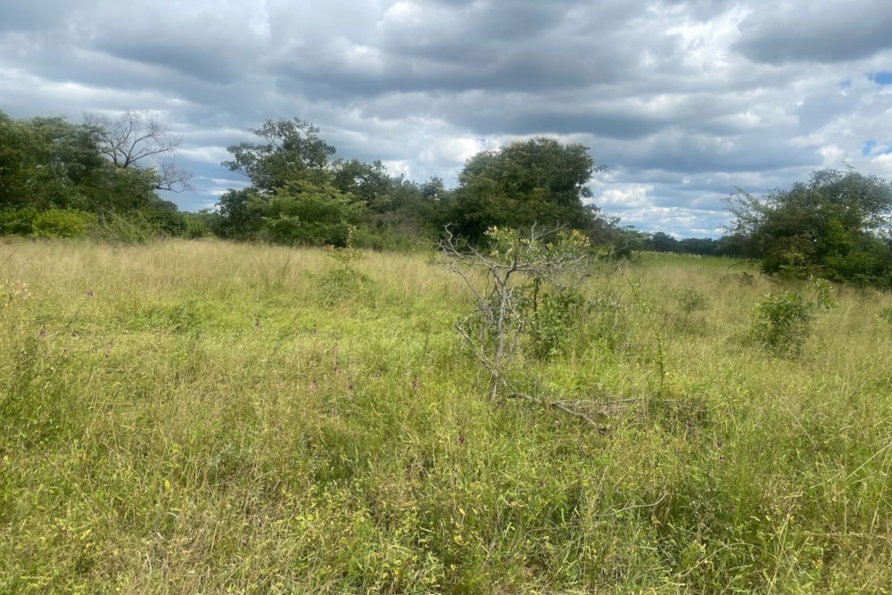 Residential vacant land for sale in Norton, Zimbabwe - 3ZB1738778