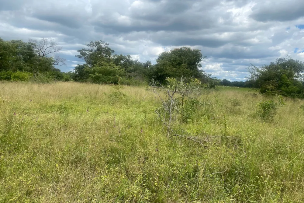 Residential vacant land for sale in Norton, Zimbabwe - 3ZB1738778 Residential vacant land for sale in Norton, Zimbabwe - 3ZB1738778