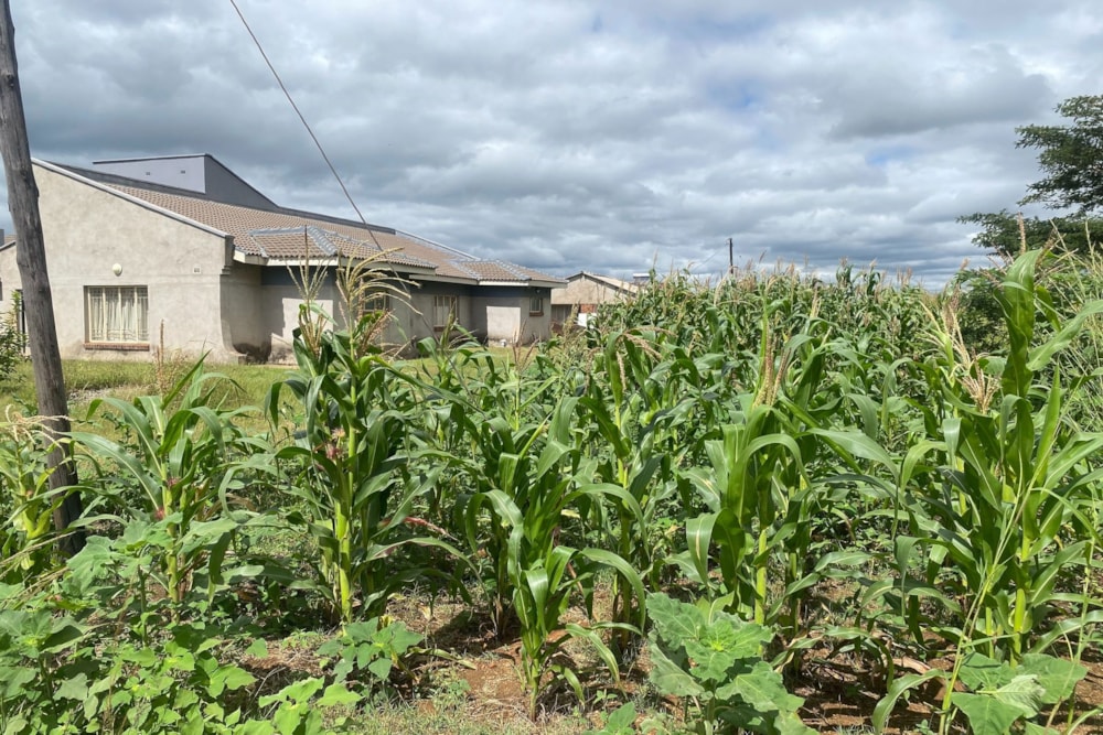 Residential vacant land for sale in Norton, Zimbabwe - 3ZB1738778 Residential vacant land for sale in Norton, Zimbabwe - 3ZB1738778