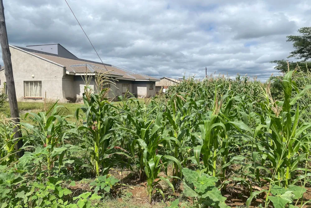 Residential vacant land for sale in Norton, Zimbabwe - 3ZB1738778 Residential vacant land for sale in Norton, Zimbabwe - 3ZB1738778