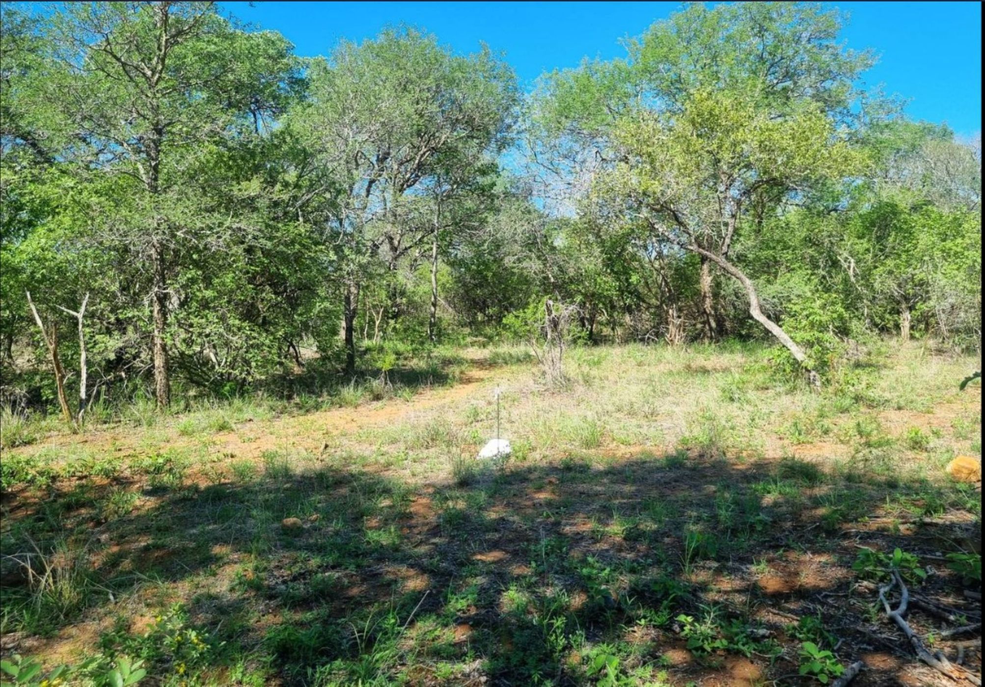 Vacant land for sale in Moditlo Nature Reserve - View 4