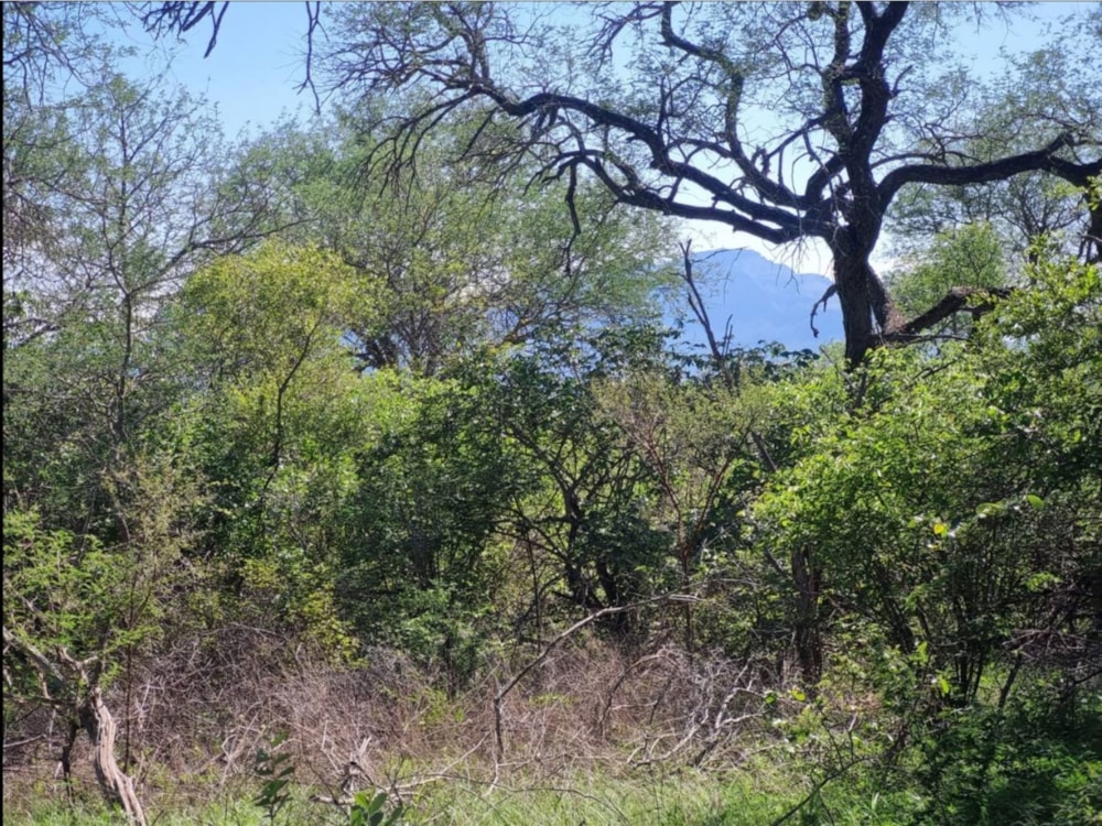 Vacant land for sale in Moditlo Nature Reserve - 1HS1738820