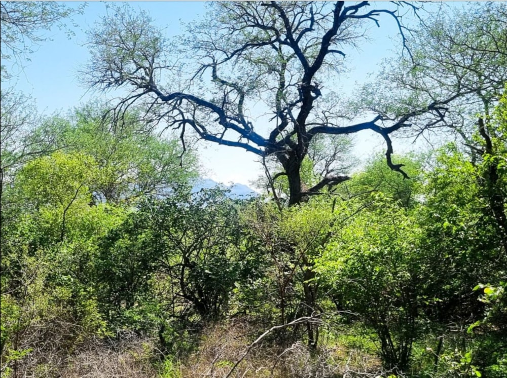 Vacant land for sale in Moditlo Nature Reserve - 1HS1738820