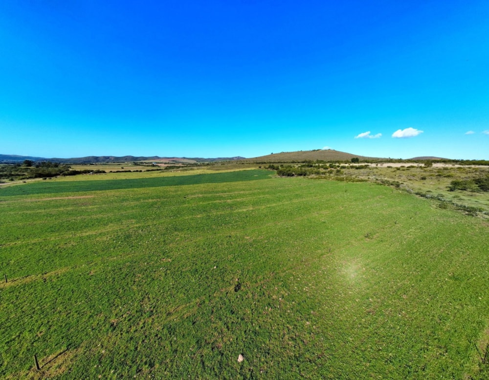 Livestock farm for sale in Heidelberg, Garden Route - 1SW1738897