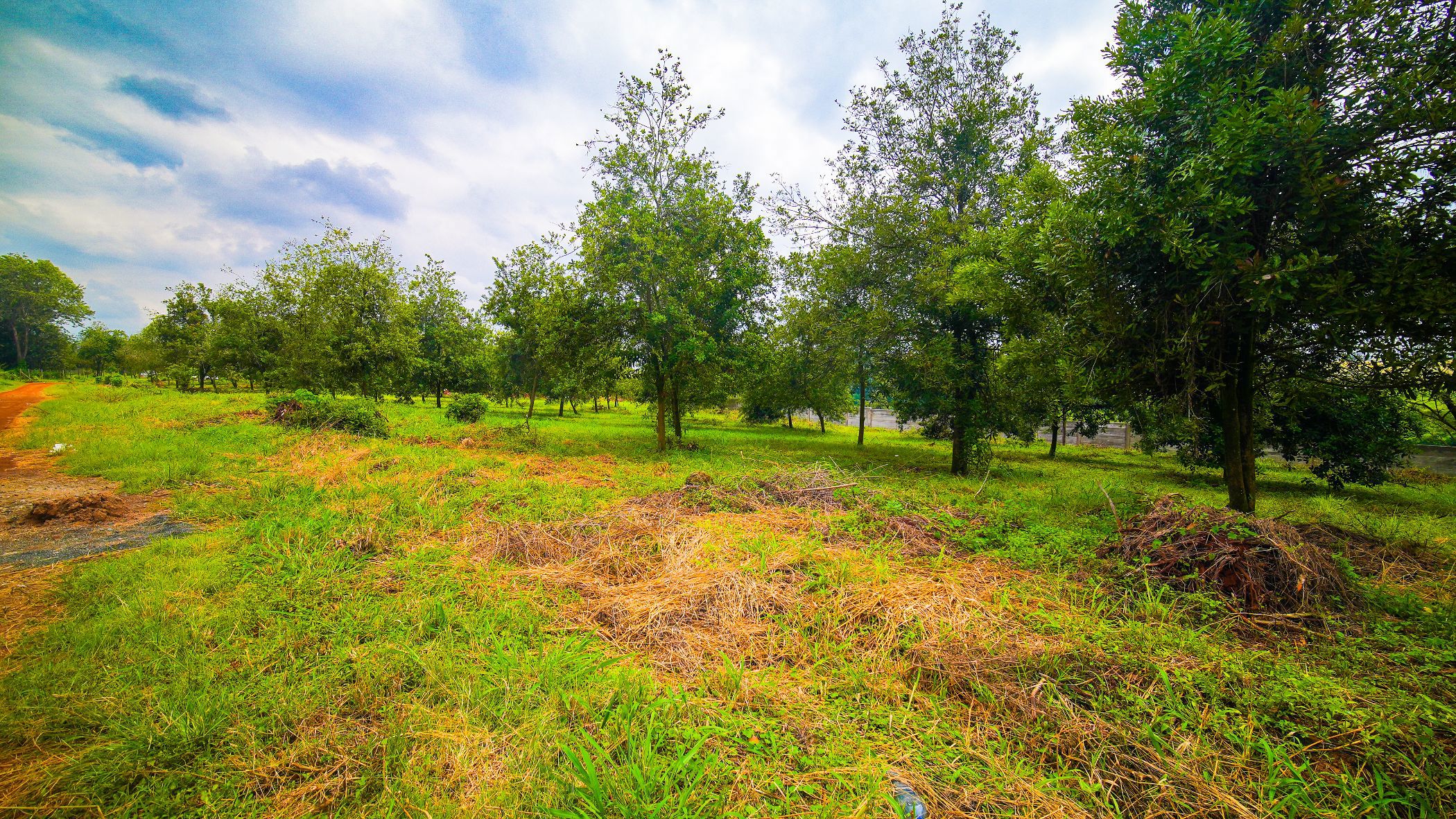Residential vacant land for sale in Thika, Kenya - 3KE1738871