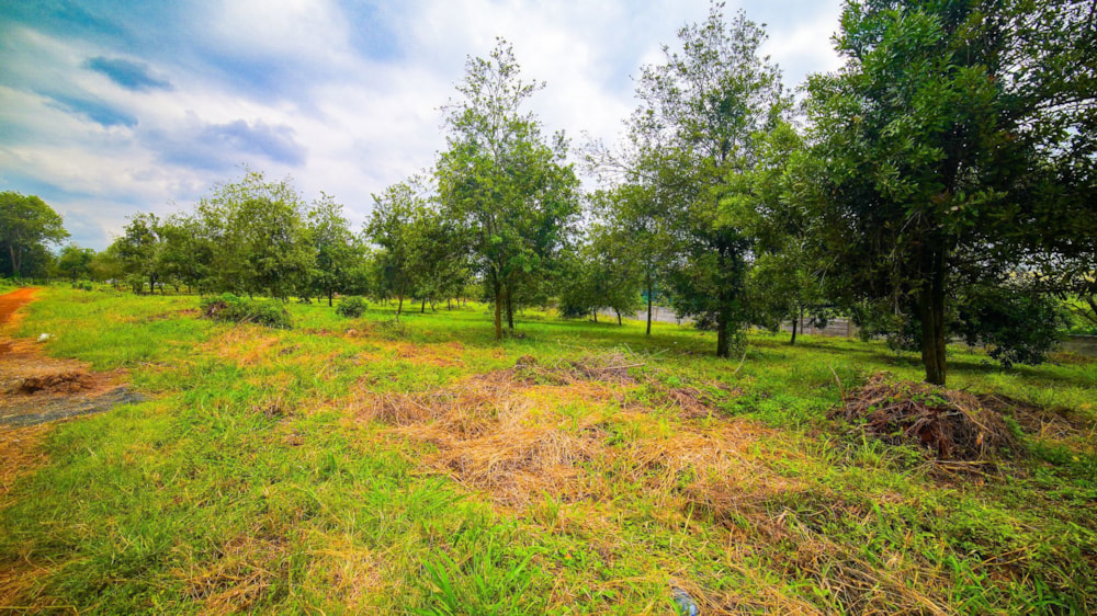 Residential vacant land for sale in Thika, Kenya - 3KE1738871 Residential vacant land for sale in Thika, Kenya - 3KE1738871