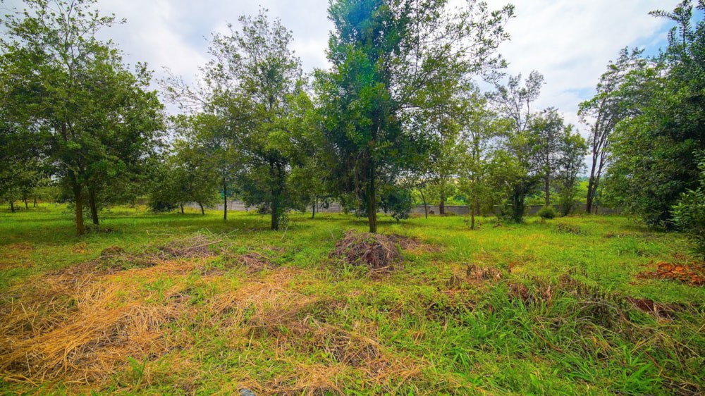 Residential vacant land for sale in Thika, Kenya - 3KE1738872 Residential vacant land for sale in Thika, Kenya - 3KE1738872
