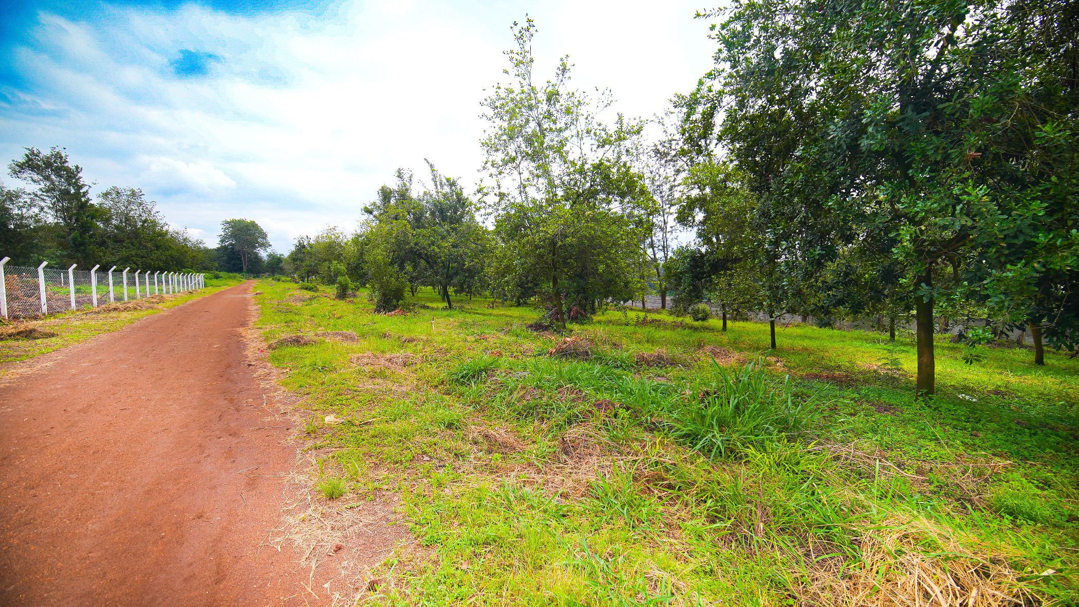 Residential vacant land for sale in Thika, Kenya - 3KE1738872