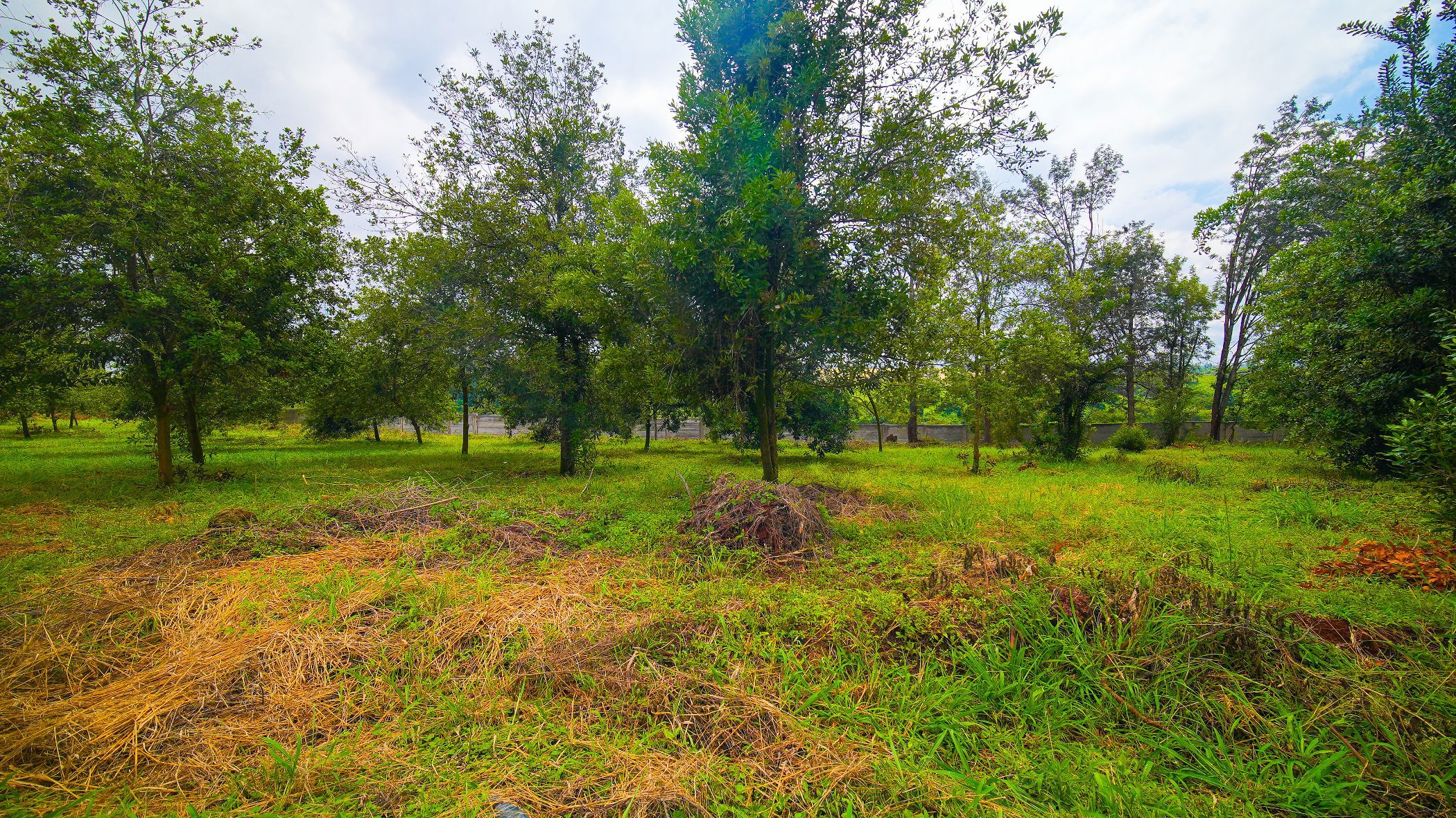 Residential vacant land for sale in Thika, Kenya - 3KE1738873