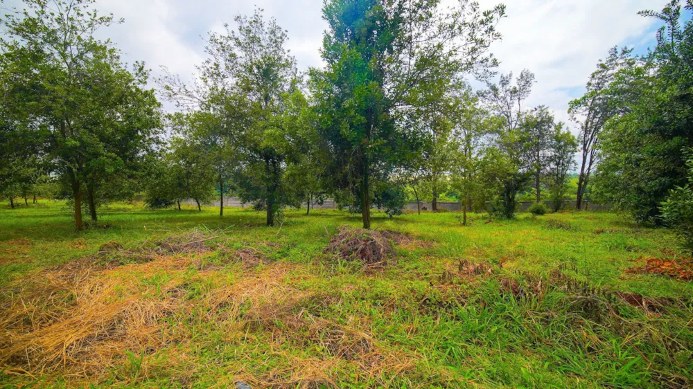 Residential vacant land for sale in Thika, Kenya - 3KE1738873 Residential vacant land for sale in Thika, Kenya - 3KE1738873