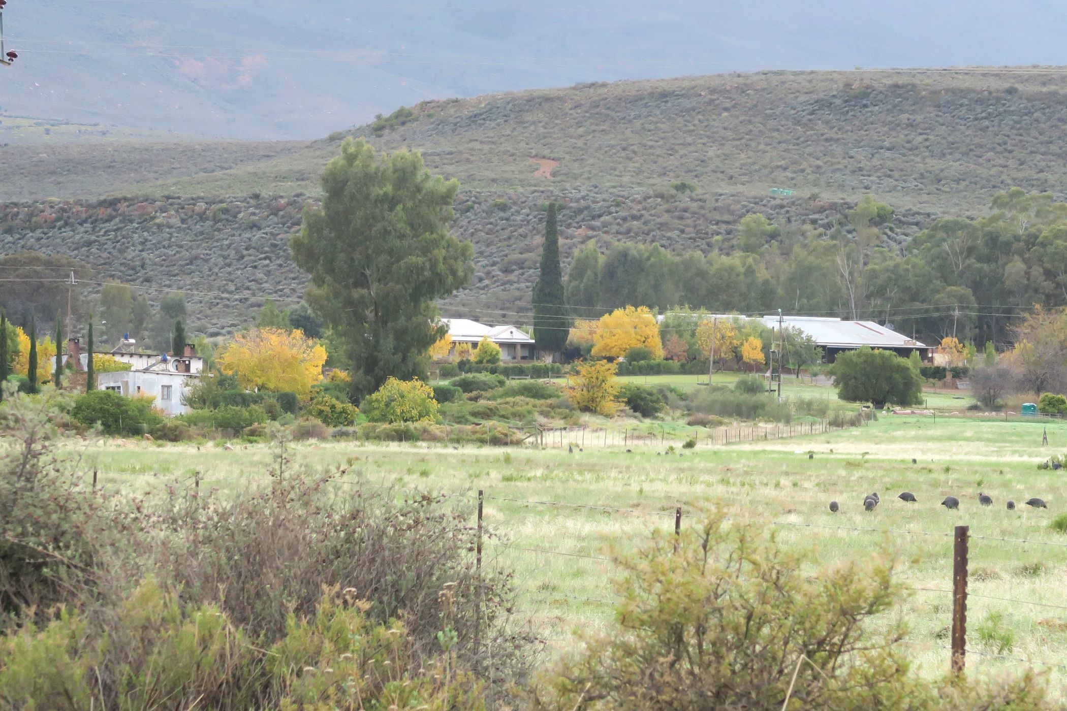 Lifestyle property for sale in Prince Alfred Hamlet - RV1738977