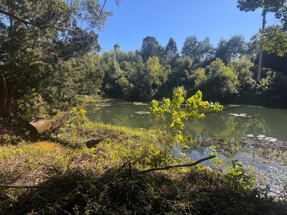 Smallholding for sale in Richmond, Midlands, Rural - 1PM1740565