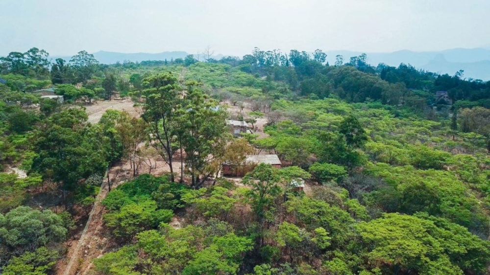 Vacant land for sale in Nyanga, Zimbabwe - 3ZB1739073
