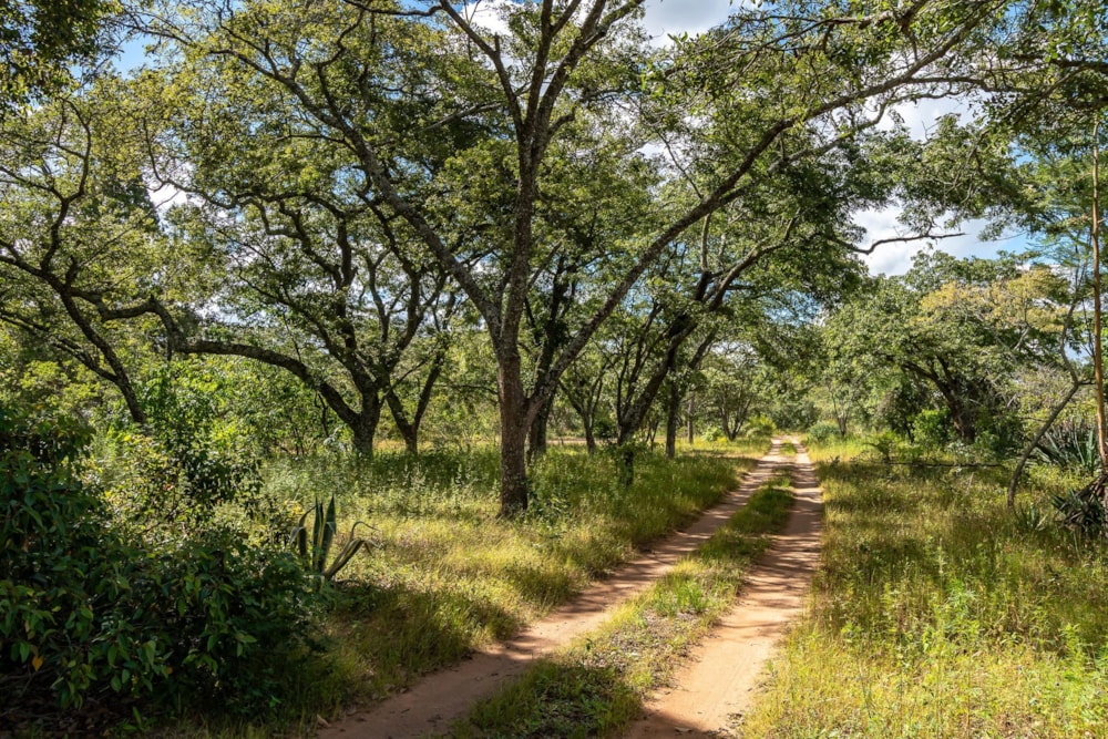 Farm vacant land for sale in Marondera, Zimbabwe - 3ZB1739109