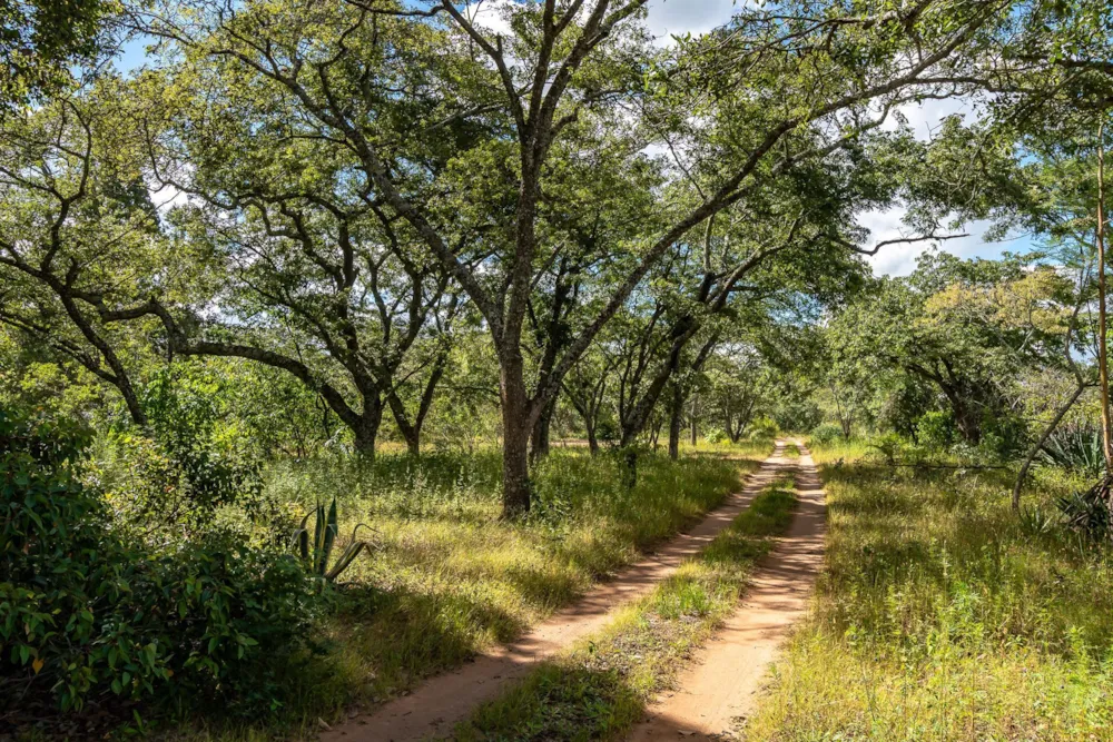 Farm vacant land for sale in Marondera, Zimbabwe - 3ZB1739109 Farm vacant land for sale in Marondera, Zimbabwe - 3ZB1739109