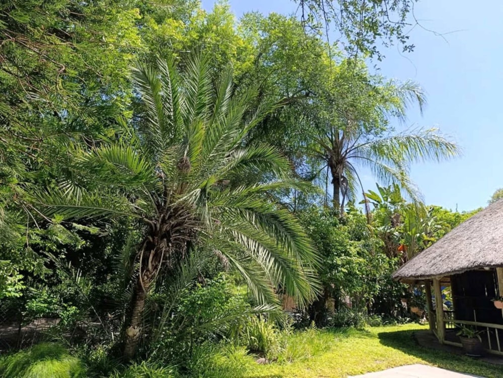 House for sale in Ngamiland, Botswana - 3BO1739239 House for sale in Ngamiland, Botswana - 3BO1739239