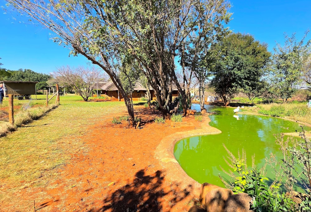 Smallholding for sale in Tiegerpoort AH - PT1739639