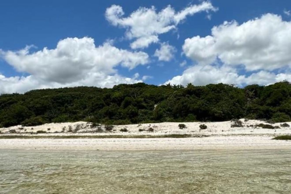 Residential vacant land for investment in Bilene, Mozambique - 3MQ1739333 Residential vacant land for investment in Bilene, Mozambique - 3MQ1739333