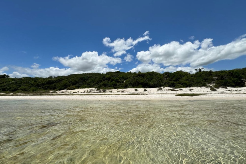 Residential vacant land for investment in Bilene, Mozambique - 3MQ1739333 Residential vacant land for investment in Bilene, Mozambique - 3MQ1739333