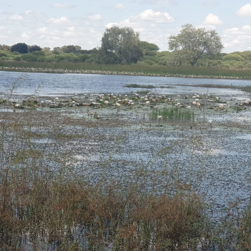 Vacant land for sale in Maun, Botswana - 3BO1740795 Vacant land for sale in Maun, Botswana - 3BO1740795