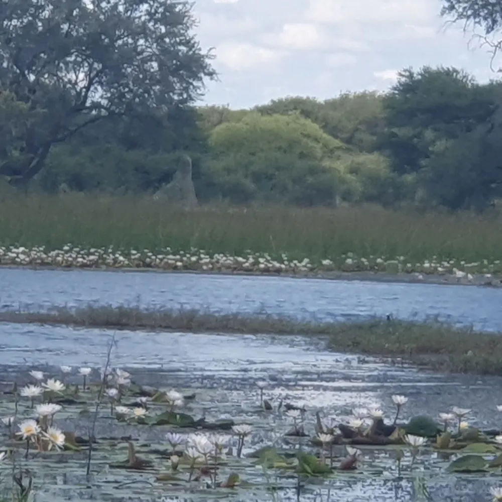 Vacant land for sale in Maun, Botswana - 3BO1740795 Vacant land for sale in Maun, Botswana - 3BO1740795