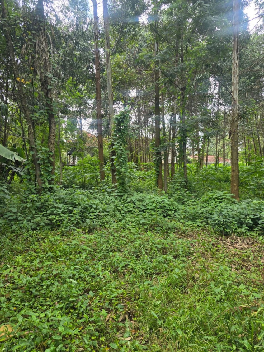 House for sale in Karen, Kenya - 3KE1739422 House for sale in Karen, Kenya - 3KE1739422