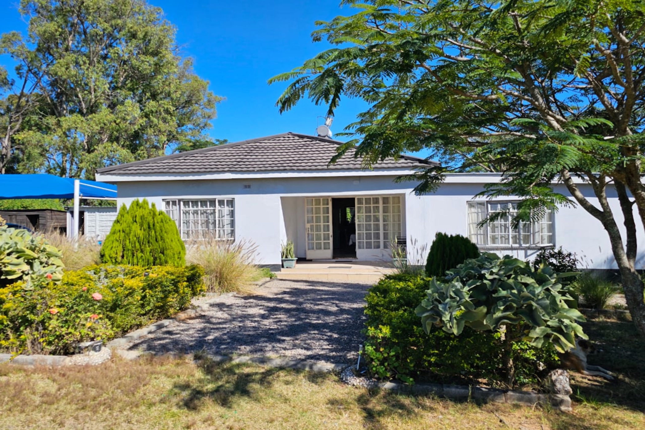 House for sale in Burnside, Bulawayo, Zimbabwe - 3ZB1739500
