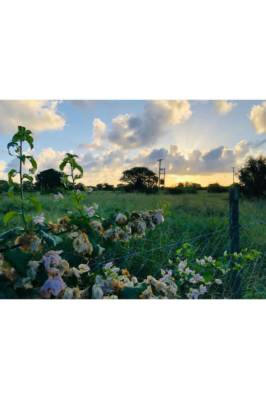 Residential vacant land for sale in Kilifi, Kenya - 3KE1740071 Residential vacant land for sale in Kilifi, Kenya - 3KE1740071