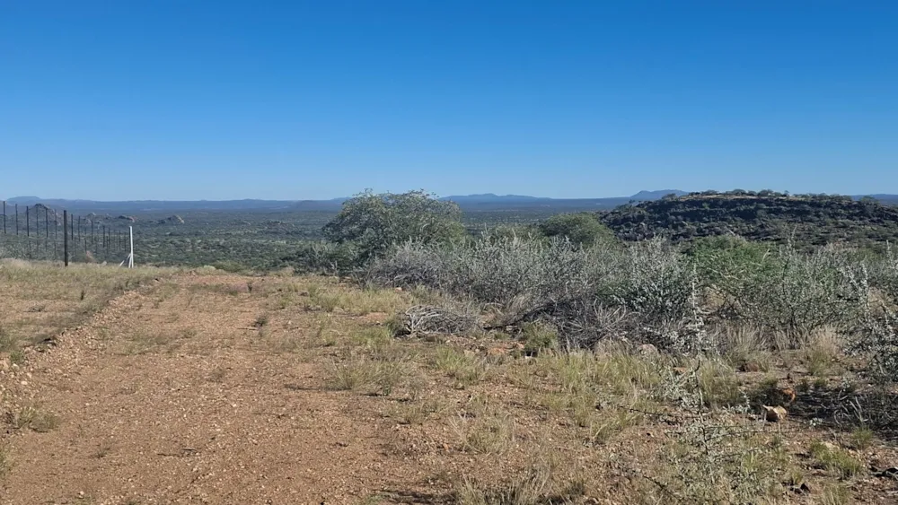 Game farm for sale in Okahandja, Namibia - 3NM1739605 Game farm for sale in Okahandja, Namibia - 3NM1739605