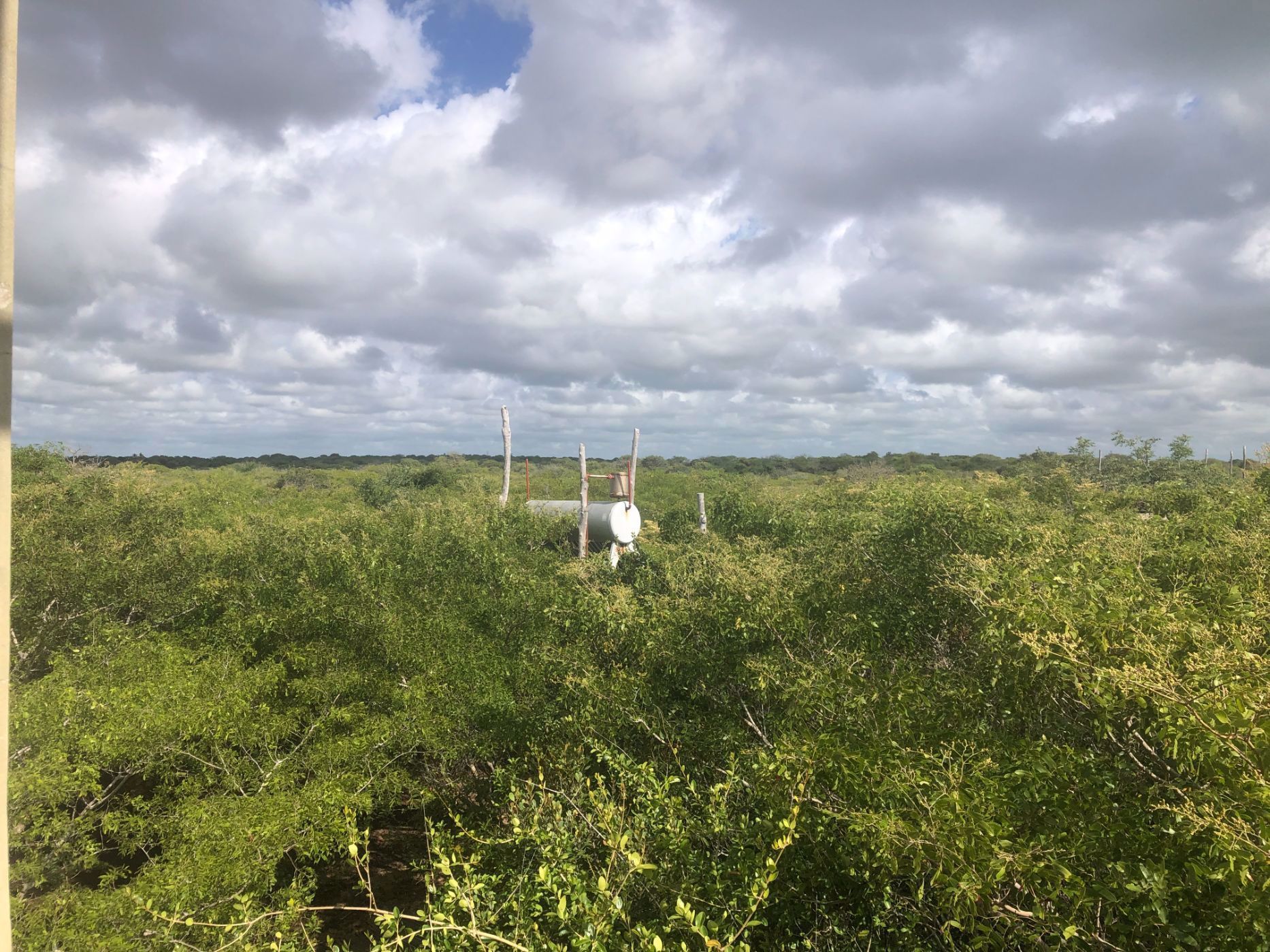 Vacant land for investment in Vilanculos, Mozambique - 3MQ1739629