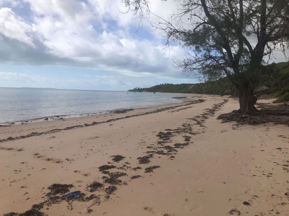 Vacant land for investment in Vilanculos, Mozambique - 3MQ1739629 Vacant land for investment in Vilanculos, Mozambique - 3MQ1739629