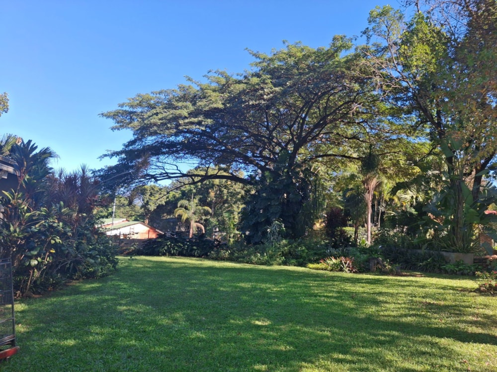 House for sale in Tzaneen, Limpopo Province - 1TA1739875 House for sale in Tzaneen, Limpopo Province - 1TA1739875