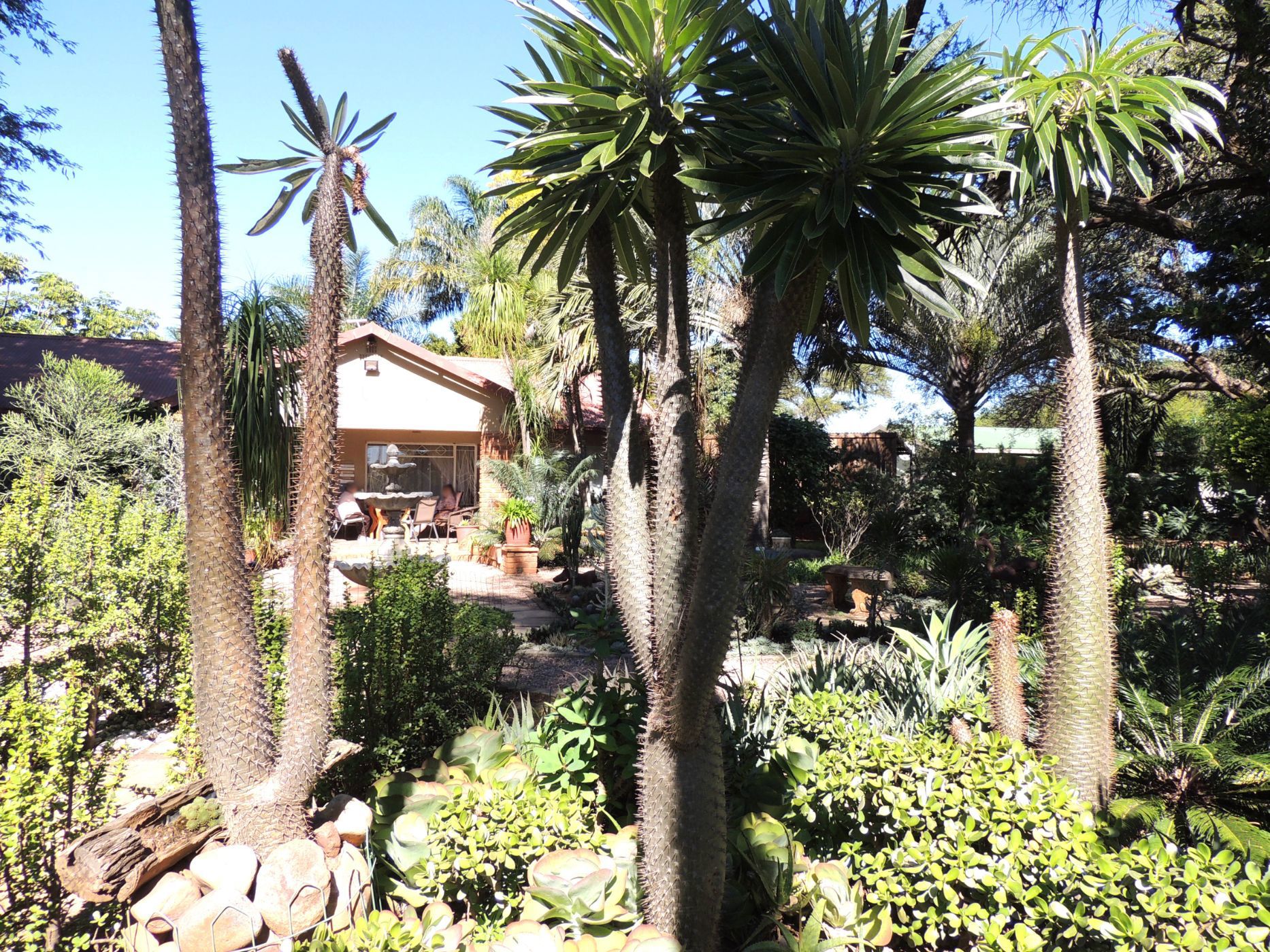 House for sale in Mookgopong (Naboomspruit) - 1MDM1739692