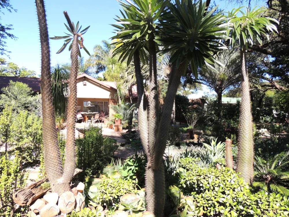 House for sale in Mookgopong (Naboomspruit) - 1MDM1739692