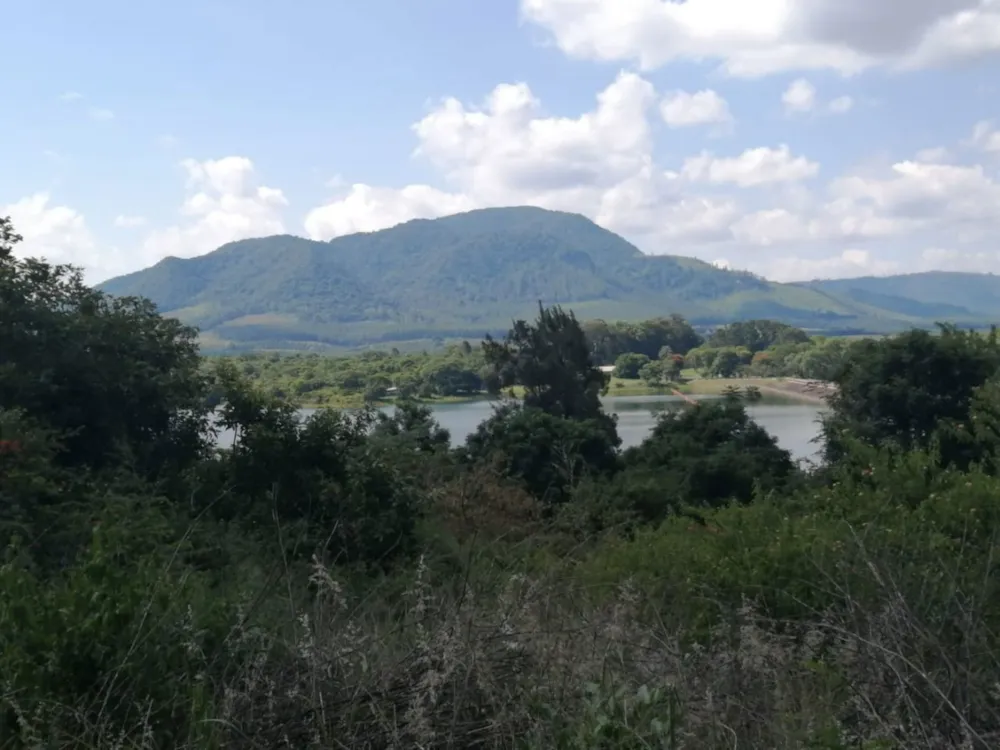 Lifestyle property for sale in Makhado (Louis Trichardt) - 1TA1739714 Lifestyle property for sale in Makhado (Louis Trichardt) - 1TA1739714