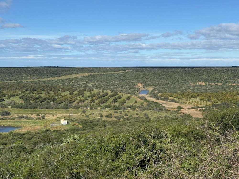 Mixed use farm for sale in Addo - 1GC1739746 Mixed use farm for sale in Addo - 1GC1739746