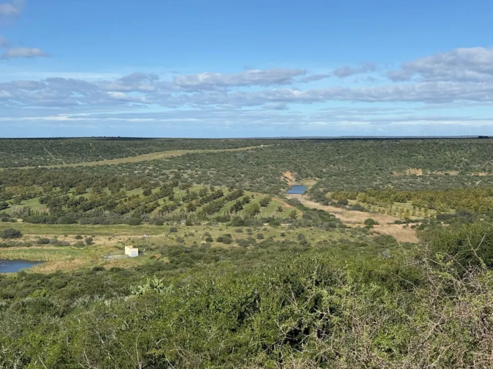 Mixed use farm for sale in Addo - 1GC1739746 Mixed use farm for sale in Addo - 1GC1739746